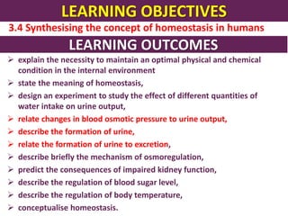 LEARNING OBJECTIVES
3.4 Synthesising the concept of homeostasis in humans
LEARNING OUTCOMES
 explain the necessity to maintain an optimal physical and chemical
condition in the internal environment
 state the meaning of homeostasis,
 design an experiment to study the effect of different quantities of
water intake on urine output,
 relate changes in blood osmotic pressure to urine output,
 describe the formation of urine,
 relate the formation of urine to excretion,
 describe briefly the mechanism of osmoregulation,
 predict the consequences of impaired kidney function,
 describe the regulation of blood sugar level,
 describe the regulation of body temperature,
 conceptualise homeostasis.
 