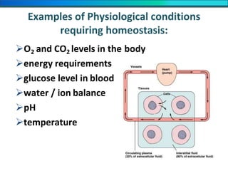 Examples of Physiological conditions
requiring homeostasis:
O2 and CO2 levels in the body
energy requirements
glucose level in blood
water / ion balance
pH
temperature
 