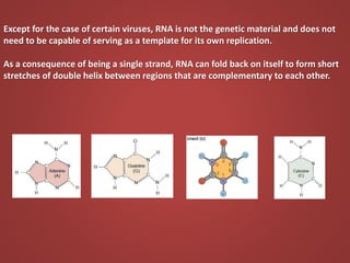 Reverse Transcription
Some viruses (such as HIV, the cause of AIDS), have the ability to transcribe RNA into DNA. HIV
has ...