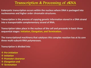 Translation
Translation is the process of using the information in RNA to direct the ordered assembly of
amino acids.
The ...
