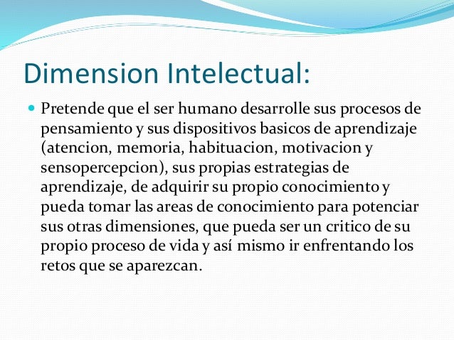 1 1 dimension estetica