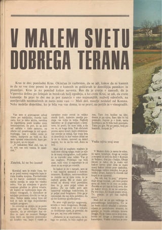 V malem svetu dobrega Terana