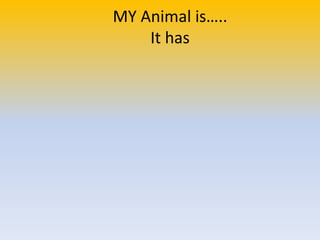 MY Animal is…..
It has
 