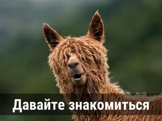 Давайте знакомиться
 