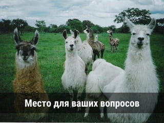 Место для ваших вопросов
 