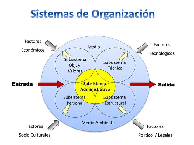 CARACTERÍSTICAS DE LAS ORGANIZACIONES COMO SISTEMAS ABIERTOS