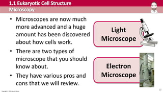 Copyright © 2016 Henry Exham
10
• Microscopes are now much
more advanced and a huge
amount has been discovered
about how cells work.
• There are two types of
microscope that you should
know about.
• They have various pros and
cons that we will review.
Light
Microscope
Electron
Microscope
 
