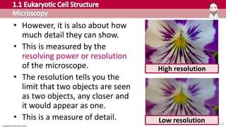Copyright © 2016 Henry Exham
12
• However, it is also about how
much detail they can show.
• This is measured by the
resolving power or resolution
of the microscope.
• The resolution tells you the
limit that two objects are seen
as two objects, any closer and
it would appear as one.
• This is a measure of detail. Low resolution
High resolution
 
