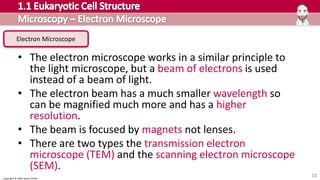 Copyright © 2016 Henry Exham
18
• The electron microscope works in a similar principle to
the light microscope, but a beam of electrons is used
instead of a beam of light.
• The electron beam has a much smaller wavelength so
can be magnified much more and has a higher
resolution.
• The beam is focused by magnets not lenses.
• There are two types the transmission electron
microscope (TEM) and the scanning electron microscope
(SEM).
Electron Microscope
 