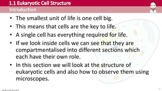 Copyright © 2016 Henry Exham
2
• The smallest unit of life is one cell big.
• This means that cells are the key to life.
• A single cell has everything required for life.
• If we look inside cells we can see that they are
compartmentalised into different sections which
each have their own role.
• In this section we will look at the structure of
eukaryotic cells and also how to observe them using
microscopes.
 