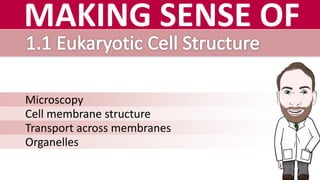 MAKING SENSE OFMAKING SENSE OF
Microscopy
Cell membrane structure
Transport across membranes
Organelles
4
 