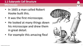 Copyright © 2016 Henry Exham
• In 1665 a man called Robert
Hooke built this.
• It was the first microscope.
• He looked at many things down
his microscope and drew them
in great detail.
• For example this amazing flea!
7
 