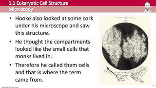Copyright © 2016 Henry Exham
• Hooke also looked at some cork
under his microscope and saw
this structure.
• He thought the compartments
looked like the small cells that
monks lived in.
• Therefore he called them cells
and that is where the term
came from.
8
 