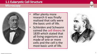 Copyright © 2016 Henry Exham
• After plenty more
research it was finally
realised that cells were
the basic unit of life.
• Schleiden and Schwann
coined the cell theory in
1839 which stated that
all living organisms are
made of one or more
cells and the cell is the
most basic unit of life.
9
 