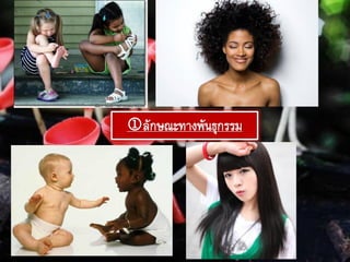 ลักษณะทางพันธุกรรม
 