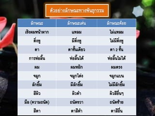 ตัวอย่างลักษณะทางพันธุกรรม
ลักษณะ ลักษณะเด่น ลักษณะด้อย
เชิงผมหน้าผาก แหลม ไม่แหลม
ติ่งหู มีติ่งหู ไม่มีติ่งหู
ตา ตาชั้นเดียว ตา2ชั้น
การห่อลิ้น ห่อลิ้นได้ ห่อลิ้นไม่ได้
ผม ผมหยิก ผมตรง
จมูก จมูกโด่ง จมูกแบน
ลักยิ้ม มีลักยิ้ม ไม่มีลักยิ้ม
สีผิว ผิวดา ผิวสีอื่นๆ
มือ(ความถนัด) ถนัดขวา ถนัดซ้าย
สีตา ตาสีดา ตาสีอื่น
 