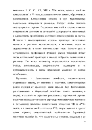10
коллагены I, V, VI, XII, XIII и XIV типов, причем наиболее
представлены I и V типы, входящие в состав ламелл, образованных
кератоцитами. Коллагеновые волокна в них располагаются
параллельно поверхности роговицы. Следует особо отметить
аваскулярность стромы. Отсутствие полостей в строме является
непременным условием ее оптической однородности, приводящей
к одинаковому преломлению светового потока в разных ее частях.
В связи с аваскулярностью стромы, транспорт питательных
веществ в роговице осуществляется, в основном, через ее
эндотелиальный, а также эпителиальный слои. Важную роль в
осуществлении трофической функции клеток роговицы играет
также аксональный транспорт в аксонах нейронов, подходящих к
роговице. По этому механизму осуществляется перемещение
белков, полипептидов, фосфолипидов, медиаторов и их
предшественников, а также происходит удаление из клетки
метаболитов.
Боуменова и десцеметова мембраны, соответственно,
отделяющие строму, от эпителия и эндотелия, характеризуются
рядом отличий от срединной части стромы. Так, фибробласты,
расположенные в боуменовой мембране, имеют нитевидную
форму, в отличие от округлых уплощенных кератоцитов стромы.
Различия наблюдаются также в структуре межклеточного матрикса:
в боуменовой мембране присутствуют коллагены VII и XVIII
типов, а в десцеметовой – коллаген VIII, отсутствующие в других
слоях стромы; дополнительной особенностью боуменовой
мембраны является то, что коллагеновые волокна, входящие в ее
 