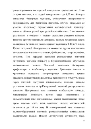 14
распространяются по передней поверхности хрусталика до 1,5 мм
от края экватора, а по задней поверхности - до 1,25 мм. Капсула
выполняет барьерную функцию, обеспечивая избирательную
проницаемость для различных факторов, причём отдельные ее
участки по-разному осуществляют специфический транспорт
веществ, обладая разной пропускной способностью. Это связано с
различиями в толщине и составе отдельных участков капсулы.
Подобно другим базальным мембранам капсула хрусталика богата
коллагеном IV типа, но также содержит коллагены I, III и V типов.
Кроме того, в ней обнаруживается множество других компонентов
внеклеточного матрикса – ламенин, фибронектин, гепаран сульфат,
энтактин. Под передней капсулой располагается эпителий
хрусталика, значение которого в функционировании хрусталика
исключительно велико. Эпителий выполняет барьерную,
трофическую и камбиальную функции. Транспорт веществ в
хрусталике полностью контролируется эпителием: против
градиента концентраций в различные регионы этой структуры глаза
через эпителий поступают аминокислоты, глюкоза, катионы
различных металлов и др.Капсулярный эпителий распределяется
зонально. Центральная зона занимает наибольшую площадь,
митотическая активность клеток здесь минимальна. В
промежуточной зоне эпителиальные клетки располагаются более
густо, помимо этого, здесь возрастает индекс митотической
активности до 1-3 на зону. В экваториальной зоне находится
волокнообразующий эпителий, располагающийся правильными
радиальными рядами. Индекс митотической активности здесь
 