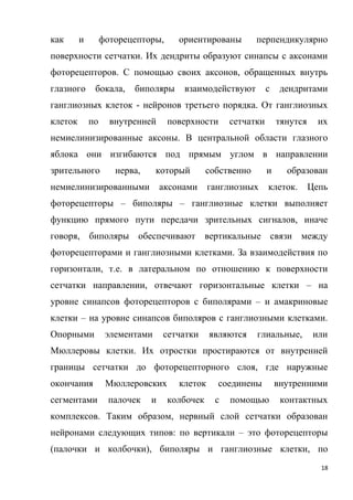 18
как и фоторецепторы, ориентированы перпендикулярно
поверхности сетчатки. Их дендриты образуют синапсы с аксонами
фоторецепторов. С помощью своих аксонов, обращенных внутрь
глазного бокала, биполяры взаимодействуют с дендритами
ганглиозных клеток - нейронов третьего порядка. От ганглиозных
клеток по внутренней поверхности сетчатки тянутся их
немиелинизированные аксоны. В центральной области глазного
яблока они изгибаются под прямым углом в направлении
зрительного нерва, который собственно и образован
немиелинизированными аксонами ганглиозных клеток. Цепь
фоторецепторы – биполяры – ганглиозные клетки выполняет
функцию прямого пути передачи зрительных сигналов, иначе
говоря, биполяры обеспечивают вертикальные связи между
фоторецепторами и ганглиозными клетками. За взаимодействия по
горизонтали, т.е. в латеральном по отношению к поверхности
сетчатки направлении, отвечают горизонтальные клетки – на
уровне синапсов фоторецепторов с биполярами – и амакриновые
клетки – на уровне синапсов биполяров с ганглиозными клетками.
Опорными элементами сетчатки являются глиальные, или
Мюллеровы клетки. Их отростки простираются от внутренней
границы сетчатки до фоторецепторного слоя, где наружные
окончания Мюллеровских клеток соединены внутренними
сегментами палочек и колбочек с помощью контактных
комплексов. Таким образом, нервный слой сетчатки образован
нейронами следующих типов: по вертикали – это фоторецепторы
(палочки и колбочки), биполяры и ганглиозные клетки, по
 