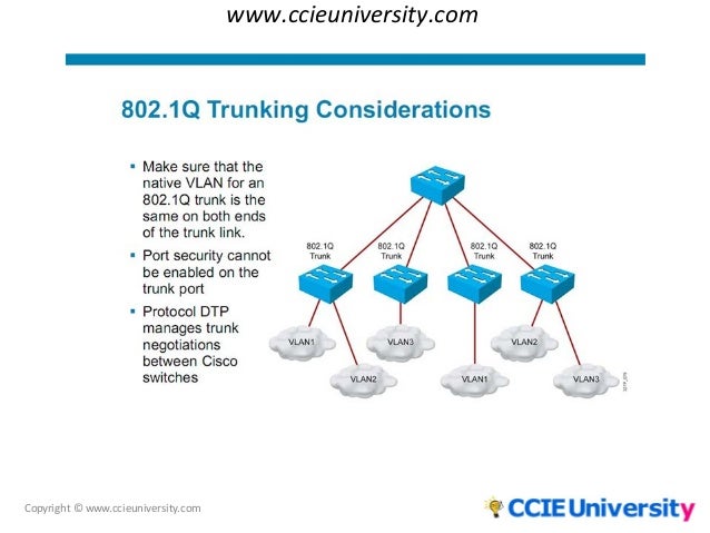 implementing vlans and trunks