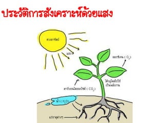 ประวัติการสังเคราะห์ด้วยแสง
 