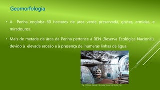 • A Penha engloba 60 hectares de área verde preservada, grutas, ermidas, e
miradouros.
• Mais de metade da área da Penha pertence à REN (Reserva Ecológica Nacional),
devido à elevada erosão e à presença de inúmeras linhas de água.
Geomorfologia
Fig. 19-Gruta Natural ( Gruta de Nossa Sra. Do Carmo)
 