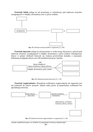 ÅÆÇÈÉÊËÌ ÍÎÏÐÑÒÓÔÕÔÎÈÍÕÔÖ ×Ê ØÇÈÙËÐÍ ÚÛÇÈÏÊÉÎËÓÊÜÈ
34
Trawienie białek polega na ich przemianie w aminokwasy pod wpływem enzymów
wyst puj cych w oł dku, dwunastnicy oraz w jelicie cienkim.
Rys. 11. Schemat trawienia białka w organizmie [2, s.94]
Trawienie tłuszczów polega na ich przemianie w wolne kwasy tłuszczowe i glicerol pod
wpływem enzymów wyst puj cych w oł dku, dwunastnicy i jelicie cienkim. Zemulgowany
tłuszcz w postaci drobnych kuleczek ma wi ksz powierzchni kontaktu z enzymami.
Substancj emulguj c tłuszcz jest ół produkowana przez w trob .
ół
lipaza oł dkowa
lipaza trzustkowa, lipaza jelitowa
oł dek, dwunastnica, jelito cienkie
Rys. 12. Schemat trawienia tłuszczów [2, s. 95]
Trawienie w glowodanów. Warunkiem wchłoni cia w glowodanów do organizmu jest
ich rozło enie do cukrów prostych. Jedynie cukry proste s bezpo rednio wchłaniane bez
uprzedniego trawienia.
amylaza linowa amylaza trzustkowa
jama ustna dwunastnica
glukoamylaza, izomaltaza
sacharaza, laktaza, maltaza
Rys. 13. Schemat trawienia w glowodanów w organizmie [2, s. 96]
ÝÞßàÝáÝâãäã ÝáÝâãäã åæàçÞèéåêã
åæàçÞèéåêã
ÝáÝêãçå
âëãÝêãçå, chymotrypsyna
elastaza, karboksypeptydazy
äéìçåêâçàíå
î
ołdek
ï
ð
ñ
ò
ó
ô
cienkie
åæàçÞÝáÝâãäåõå
dwupeptydaza
ö÷øùúû
üùýþÿ„ÿ 
(trójglicerydy)
m¡¢¡£¤¥¦§¨©©
k© tłuszczowe
£¤¥¦§¨¡¤
‡÷ û„ýú §kd¨©¢©
trójcukry
§kd¨©¢©
dwucukry
§kd¨©¢©
jednocukry
j!
™#
 