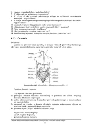 }~€‚ƒ„ …†‡ˆ‰Š‹ŒŒ†€…ŒŽ ‚ €‘ƒˆ… ’“€‡‚†ƒ‹‚”€
37
•– —˜ ™š›œ žŸ ¡˜ ¢˜£˜¤žŸ¥šœ ¥ ˜¦˜¤žŸ¥šœ ¤¥˜§ ¢¨
7. W jaki sposób jest wydalany azot z organizmu?
8. W którym odcinku przewodu pokarmowego odbywa si wchłanianie aminokwasów
powstałych z rozpadu białek?
9. W którym odcinku przewodu pokarmowego s wchłaniane produkty trawienia tłuszczów i
w glowodanów?
10. Do jakich zwi zków ulegaj spalaniu wolne kwasy tłuszczowe?
11. Jaki cukier powstaje w w trobie w wyniku przemian fruktozy i galaktozy?
12. Gdzie w organizmie gromadzi si glikogen?
13. Jaka jest optymalna zawarto glukozy we krwi?
14. Które hormony odgrywaj istotn rol w regulacji st enia glukozy we krwi?
4.2.3. wiczenia
wiczenie 1
Zaznacz na przedstawionym rysunku, w których odcinkach przewodu pokarmowego
odbywa si trawienie białek oraz napisz nazwy enzymów bior cych w tym udział.
Rys. do wiczenia 1. Schemat budowy układu pokarmowego [2, s. 91]
Sposób wykonania wiczenia
Aby wykona wiczenie, powiniene :
1) przeczyta materiał nauczania zamieszczony w poradniku dla ucznia, dotycz cy
trawienia składników od ywczych,
2) dobra odpowiednie enzymy do odcinków przewodu pokarmowego, w których odbywa
si trawienie białek,
3) zaznaczy na rysunku, w których odcinkach przewodu pokarmowego odbywa si
trawienie białek i przy udziale których enzymów,
4) porówna wyniki swoje z wynikami kolegów z grupy.
Wyposa enie stanowiska pracy:
−−−− zeszyt, przybory do pisania,
−−−− poradnik dla ucznia, literatura.
 