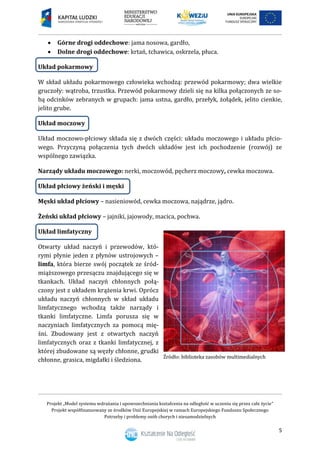 Projekt „Model systemu wdrażania i upowszechniania kształcenia na odległość w uczeniu się przez całe życie”
Projekt współf...