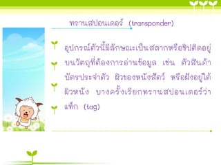 ทรานสปอนเดอร์ (transponder)
อุปกรณ์ตัวนี้มีลักษณะเป็นสลากหรือชิปติดอยู่
บนวัตถุที่ต้องการอ่านข้อมูล เช่น ตัวสินค้า
บัตรประจาตัว ผิวของหนังสัตว์ หรือฝังอยู่ใต้
ผิวหนัง บางครั้งเรียกทรานสปอนเดอร์ว่า
แท็ก (tag)
 