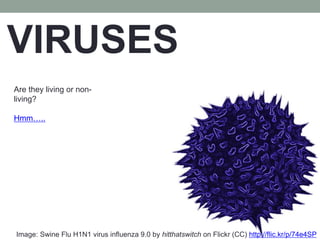 VIRUSES
Are they living or non-
living?
Hmm…..
Image: Swine Flu H1N1 virus influenza 9.0 by hitthatswitch on Flickr (CC) http://flic.kr/p/74e4SP
 