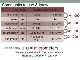 Some units to use & know
Unit abbr. Metric equivalent
kilometer km 1,000m 1 x 103m
meter m 1m 1m
centimeter cm 0.01m 1 x 10-2m
millimeter mm 0.001m 1 x 10-3m
micrometer μm 0.000 001m 1 x 10-6m
nanometer nm
0.000 000
001m
1 x 10-9m
X1,000
X1,000
X1,000
÷1,000
μm = micrometers
We usually use this in discussion of cells.
There are 1,000μm in one mm.
write this correctly
 
