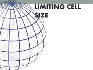 LIMITING CELL
SIZE
 