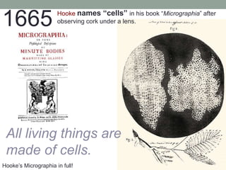 Hooke’s Micrographia in full!
1665 Hooke names “cells” in his book “Micrographia” after
observing cork under a lens.
All living things are
made of cells.
 