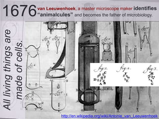 1676van Leeuwenhoek, a master microscope maker identifies
“animalcules” and becomes the father of microbiology.
Alllivingthingsare
madeofcells.
http://en.wikipedia.org/wiki/Antonie_van_Leeuwenhoek
 