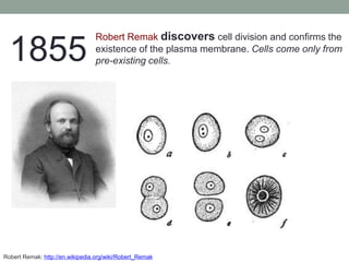 Robert Remak: http://en.wikipedia.org/wiki/Robert_Remak
1855
Robert Remak discovers cell division and confirms the
existence of the plasma membrane. Cells come only from
pre-existing cells.
 