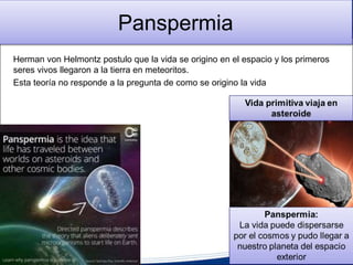 Panspermia
Herman von Helmontz postulo que la vida se origino en el espacio y los primeros
seres vivos llegaron a la tierra en meteoritos.
Esta teoría no responde a la pregunta de como se origino la vida
 