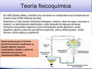 Teoría fisicoquímica
En 1953 Stanley Miller y Hartold Urey simularon en el laboratorio las condiciones de
la tierra hace 4,000 millones de años.
Diseñaron un tubo donde mezclaron hidrogeno, metano, vapor de agua, amoniaco y
metano. Le administraron electricidad y calor después de algunas semanas
formaron compuestos orgánicos como aminoácidos (acido glutámico, acido
aspártico, glicina y alanina) que forman proteínas, urea y ácidos grasos , acido
fórmico, acido acético y propionic0
Oparin propuso que en la tierra
primitiva en ciertas condiciones se
pueden obtener azucares
,aminoácidos y lípidos a partir de
moléculas precursoras.
Experimento Miller- Urey
 