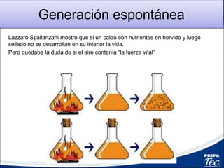 Generación espontánea
Lazzaro Spallanzani mostro que si un caldo con nutrientes en hervido y luego
sellado no se desarrollan en su interior la vida.
Pero quedaba la duda de si el aire contenía “la fuerza vital”
 