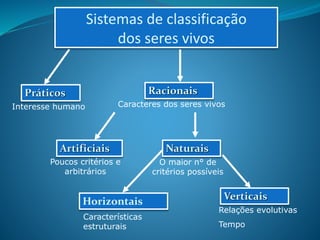 Classificação dos seres vivos | PPT