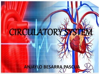 CIRCULATORY SYSTEM
ANJAYLO BESARRA PASCUA
 