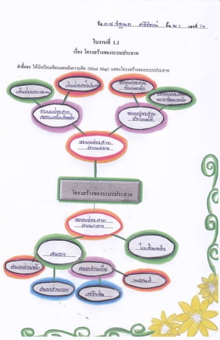de..or,e{.,fian,r.n.........a?.Ssrai.........#*..o,...r.........rn,,d..J..1r,...
.
lusrud r.r
r*o{ Tn:{afiwo.rrsuuilrcaril
rirfifiw t#rinriuurfrUuunuryrnnr-n-^n (Mind Map) uan.rTnrrair.rror:yuilil:caryr
& ,H,*f'*
 