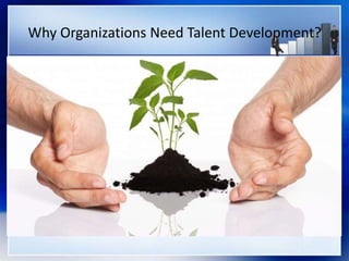 Why Organizations Need Talent Development?
 