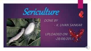 Sericulture
DONE BY
- K. UVAN SANKAR
UPLOADED ON
-28/08/2016
 