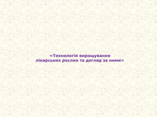 «Технологія вирощування
лікарських рослин та догляд за ними»
 