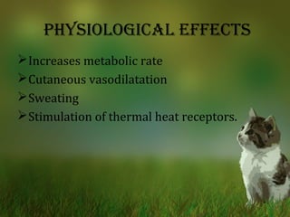 Infrared lamp slideshare online