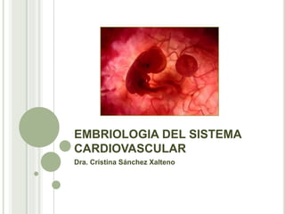 EMBRIOLOGIA DEL SISTEMA
CARDIOVASCULAR
Dra. Cristina Sánchez Xalteno
 