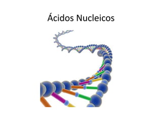 Ácidos Nucleicos
 