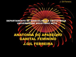 J. Gil Ferreira
DEPARTAMENTO DE GINECOLOGIA E OBSTETRICIA
UNIVERSIDADE AGOSTINHO NETO
ANATOMIA DO APARELHO
GANITAL FEMININO
J.GIL FERREIRA
 