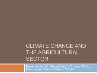 CLIMATE CHANGE AND
THE AGRICULTURAL
SECTOR
Presented by: Mr. Shaun Baugh, Principal Director
Planning and Policy Division, MICAF
 